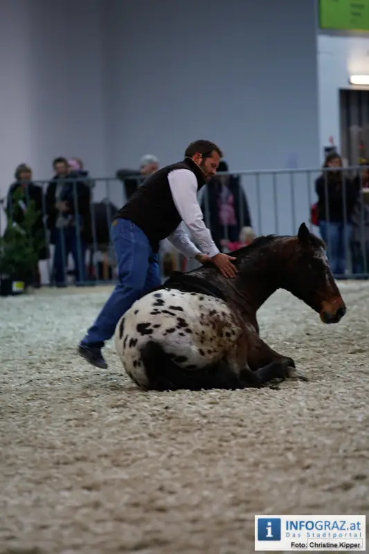 Mensch und Tier 2012 - 016