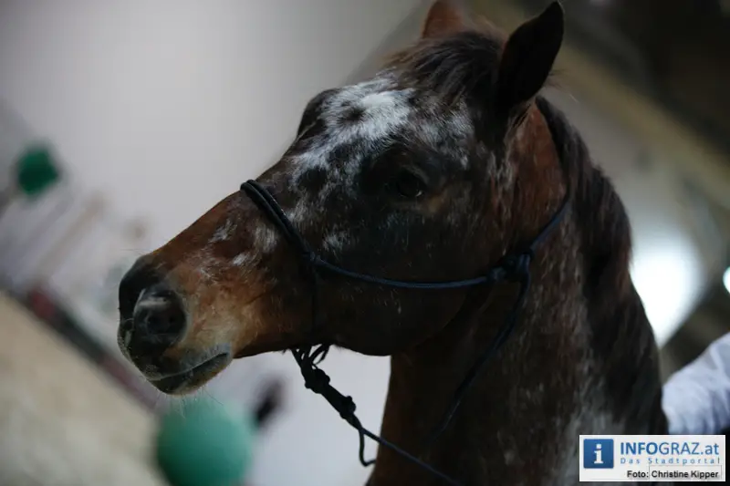 Mensch und Tier 2012 - 021