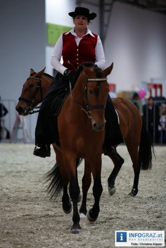 Mensch und Tier 2012 - 023