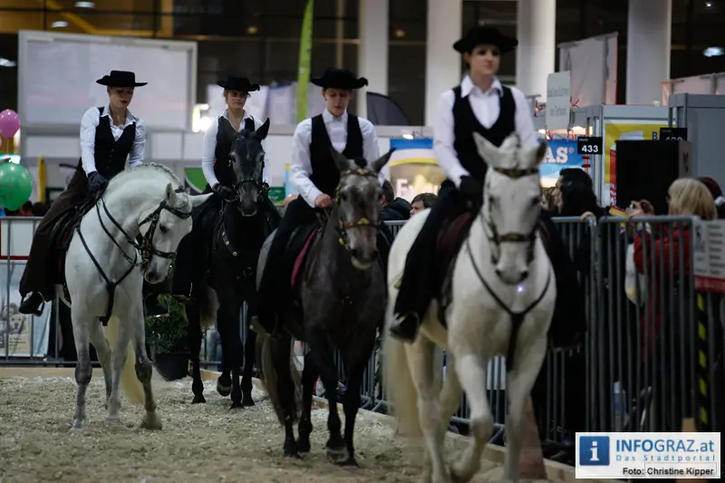 Mensch und Tier 2012 - 029