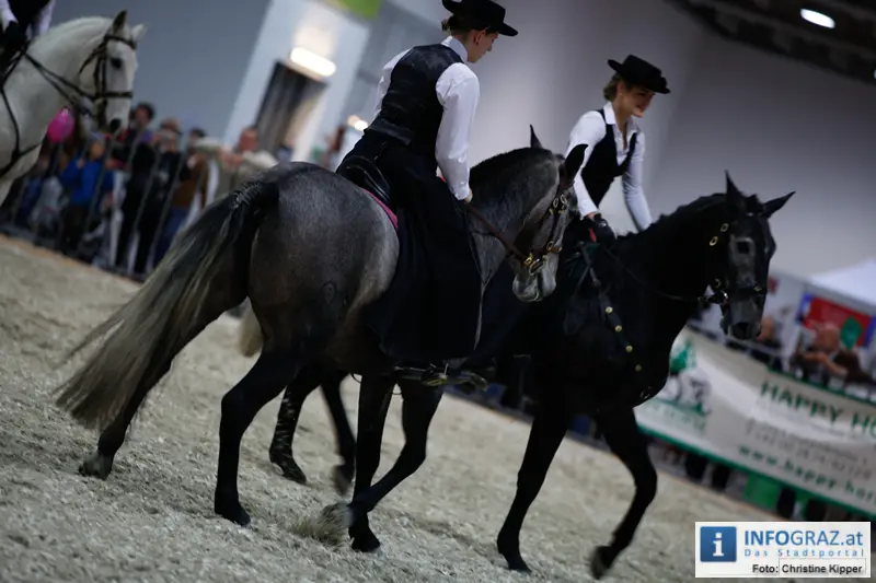 Mensch und Tier 2012 - 031