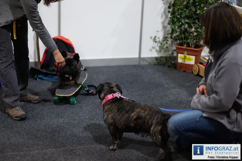 Mensch und Tier 2012 - 040