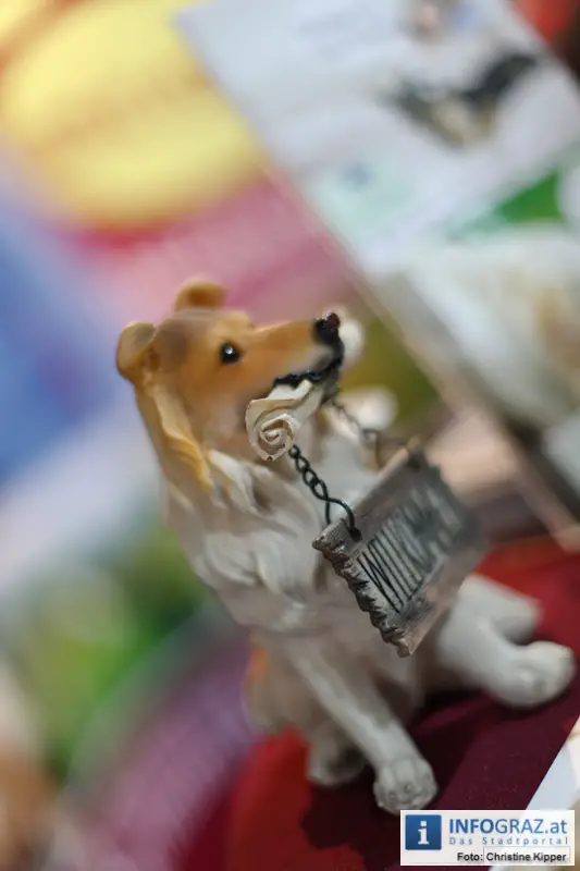 Mensch und Tier 2012 - 041