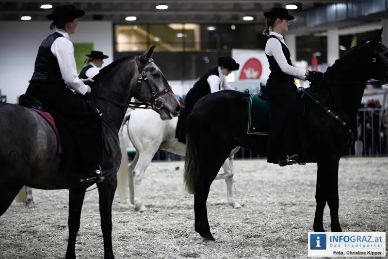 Mensch und Tier 2012 - 081