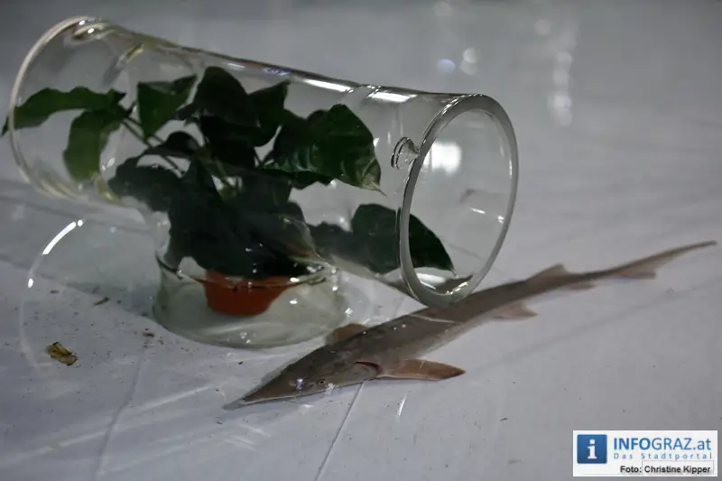 Mensch und Tier 2012 - 082