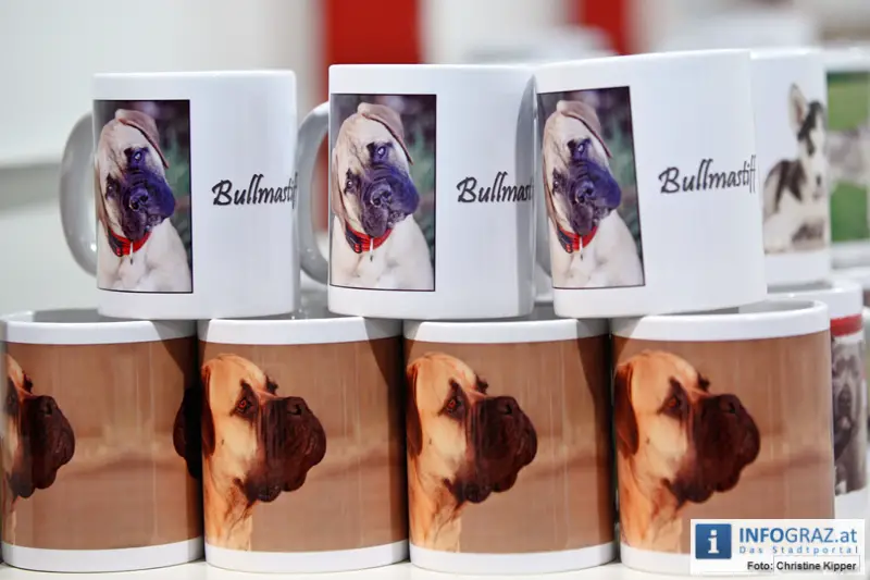 Mensch und Tier 2012 - 083