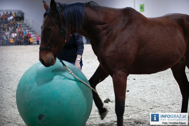 Mensch und Tier 2012 - 084