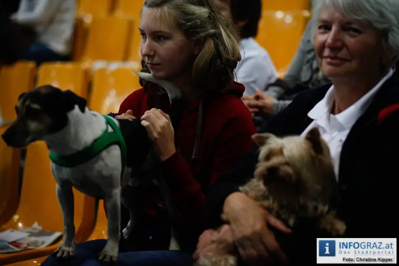 Mensch und Tier 2012 - 106