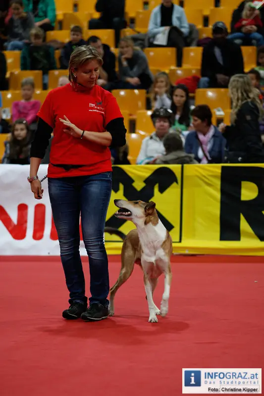 Mensch und Tier 2012 - 109