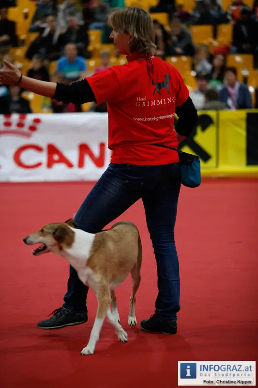 Mensch und Tier 2012 - 111