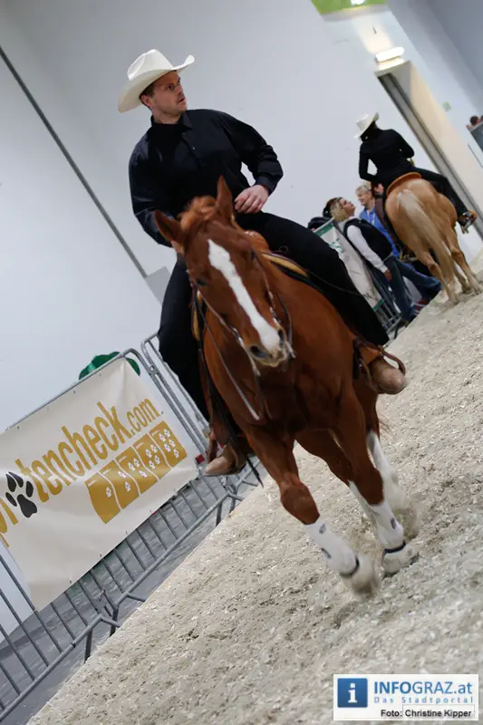 Mensch und Tier 2012 - 114