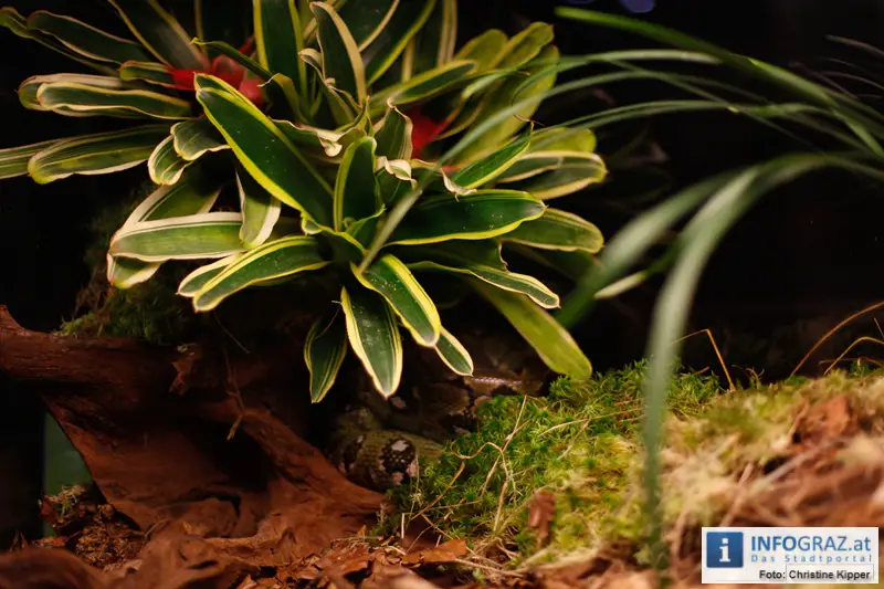 Mensch und Tier 2012 - 131