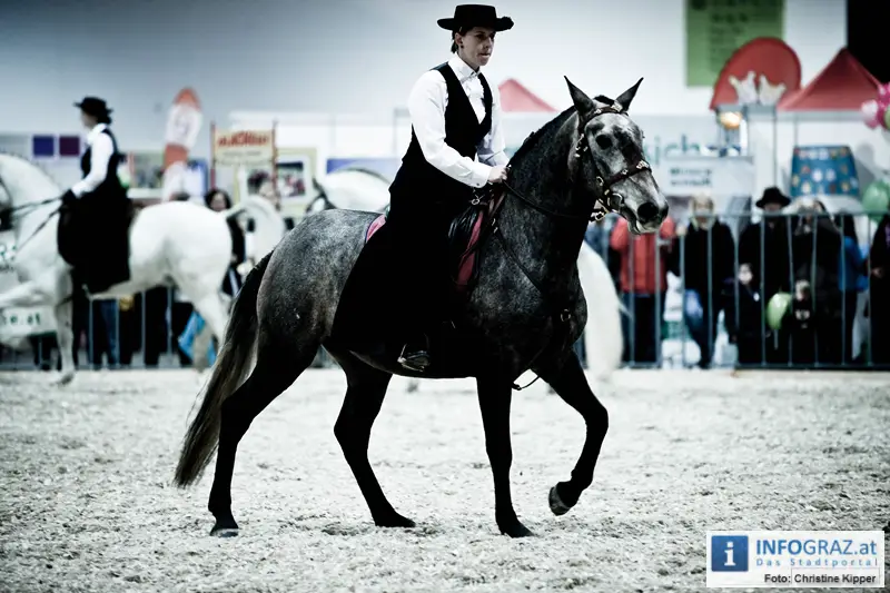 Mensch und Tier 2012 - 150