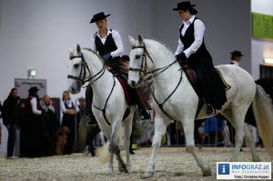 Mensch und Tier 2012,Lusitano,Gestüt Quinta do Sol,Tiergarten,Streichelzoo,Hundevorführungen,Pferdearena,Islandpferdevorführungen,Westernreiten,Ponykutsche,Publikumsvoltigieren, 