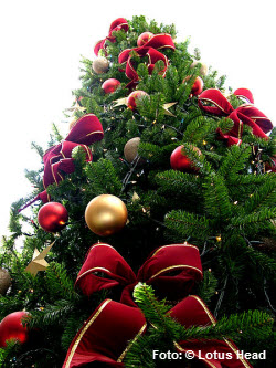 heiliger abend,24. Dezember,heiligabend,vorabend des weihnachtsfestes,abend,gesetzlicher,weihnachtstag,familiäre weihnachtsfeier,festessen,abend,nachmittag,geschenke verteilen,besinnliches fest,traditionell,im engsten familienkreis,gefeiert