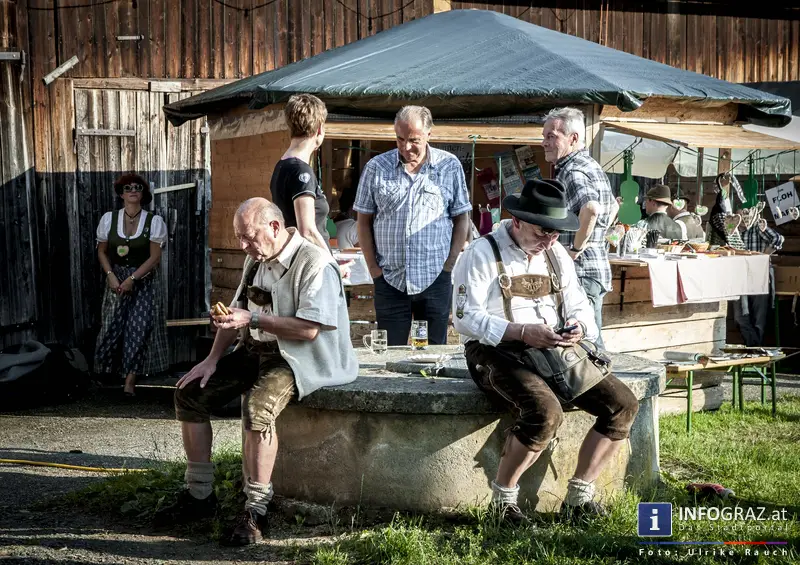 Steirischer Geigentag 2013 - 7. – 9.Juni 2013 - 017