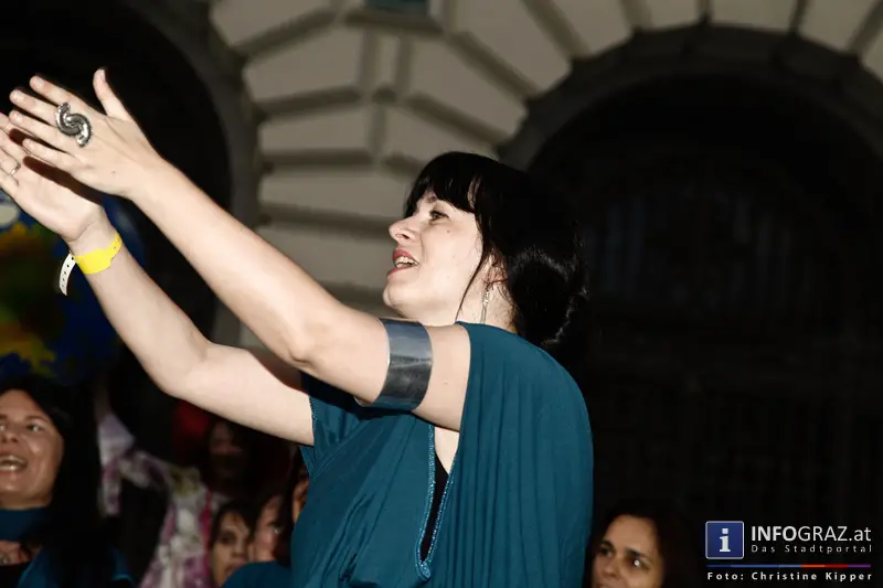 Multikultiball 2013 - Karl Franzens Universität - 314