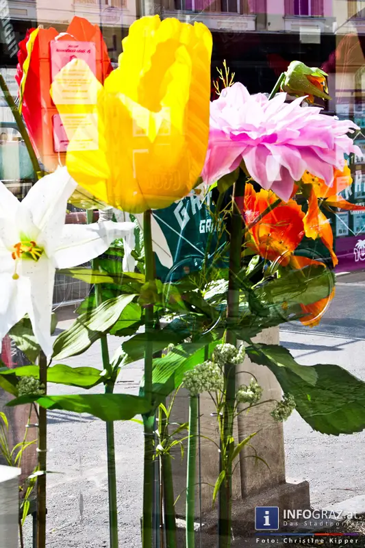 Graz-Spaziergang im Sommer - 028