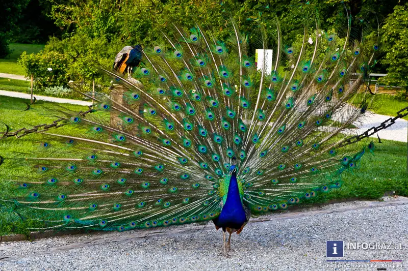 Graz-Spaziergang im Sommer - 032