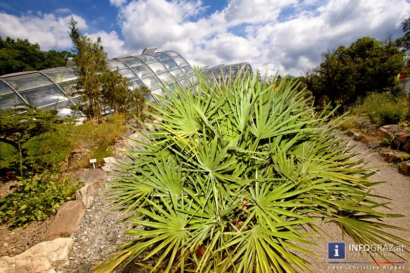 Graz-Spaziergang im Sommer - 038