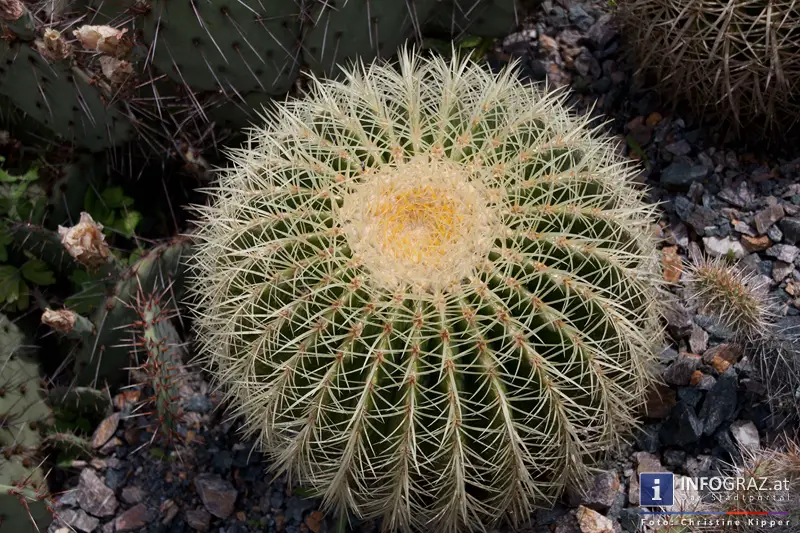 Graz-Spaziergang im Sommer - 039