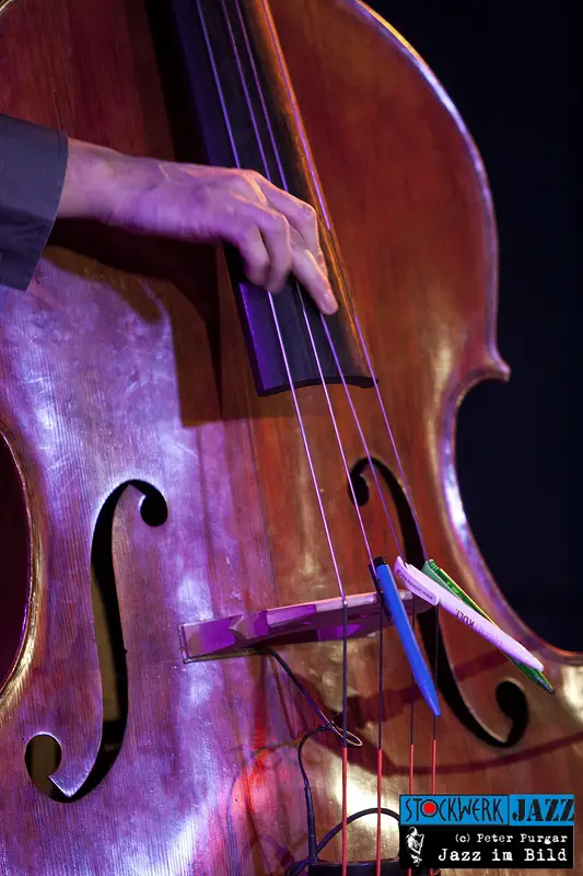 NENAD VASILIC BALKAN QUARTET - STOCKWERK GRAZ Freitag, 29. November 2013 - 029