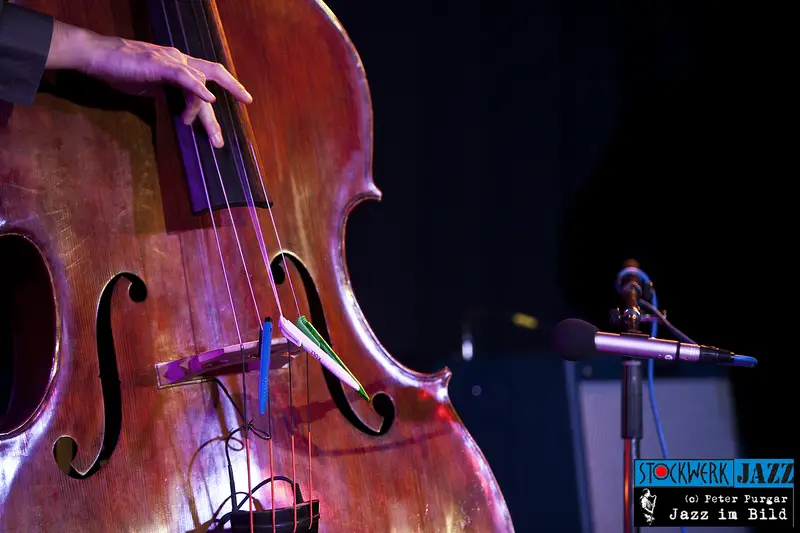 stockwerk graz nenad vasilic balkan quartet 29 11 2013 vladimir karparov marko zivadinovic nenad gajin 33