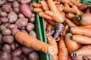 natürliche produkte, natürliche rohstoffe, natürliche umwelt, netzwerk natur, nur natur, pangasius natur, pangasiusfilet natur, projekt natur, pute natur, putenschnitzel natur