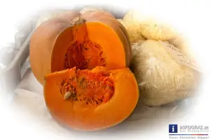 apotheke der natur, bau natur, beauty of nature, bier erzeugung, bio lebensmittel, bio produkte, biodiesel erzeugung, biokosmetik, bioprodukte, bios naturprodukte 