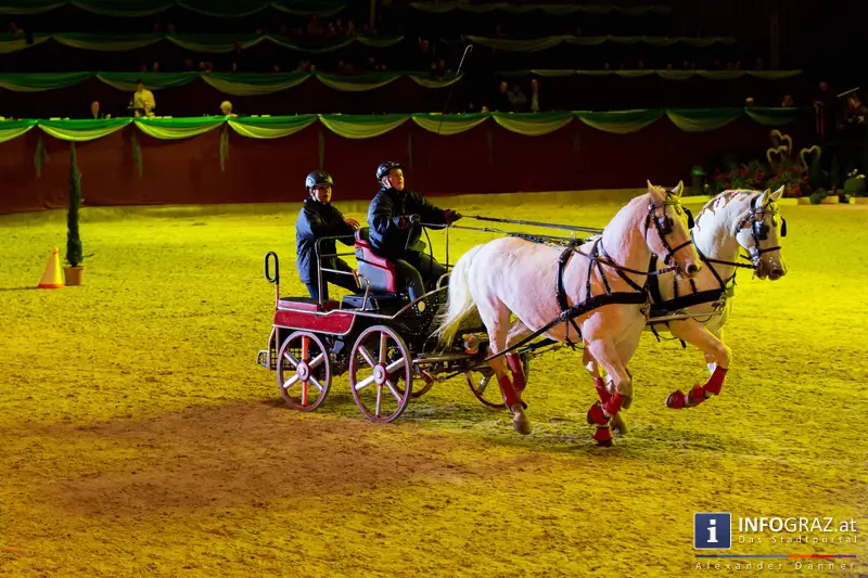 Messehalle Graz – Fest der Pferde 2014 –9. Februar 2014 - 027