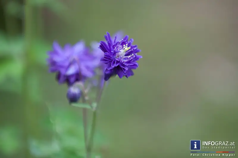 Garteneröffnungsfest im Le Schnurrbart Graz am 10. Mai 2014 - 018