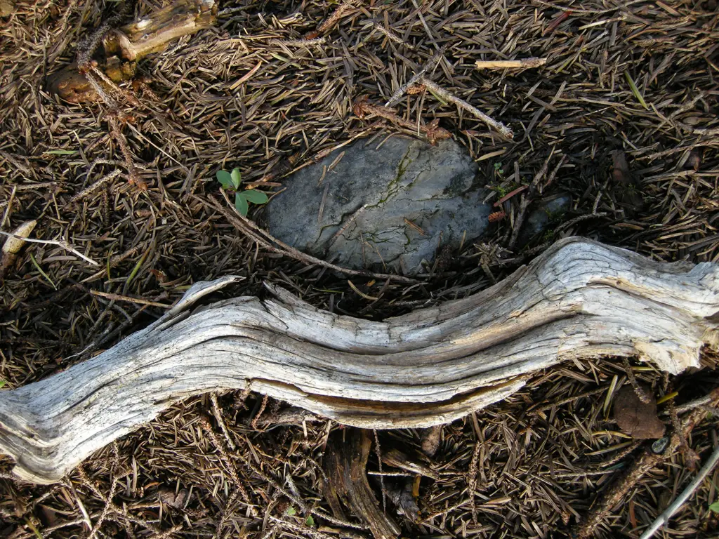 sperlova iva umgebung05