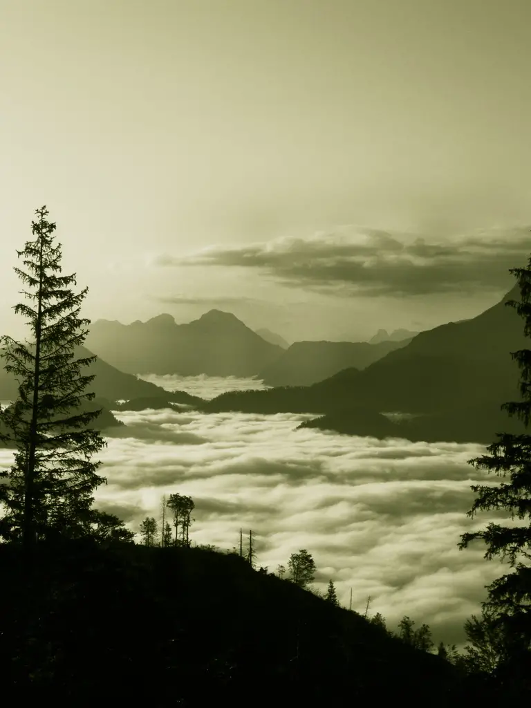 sperlova iva umgebung06