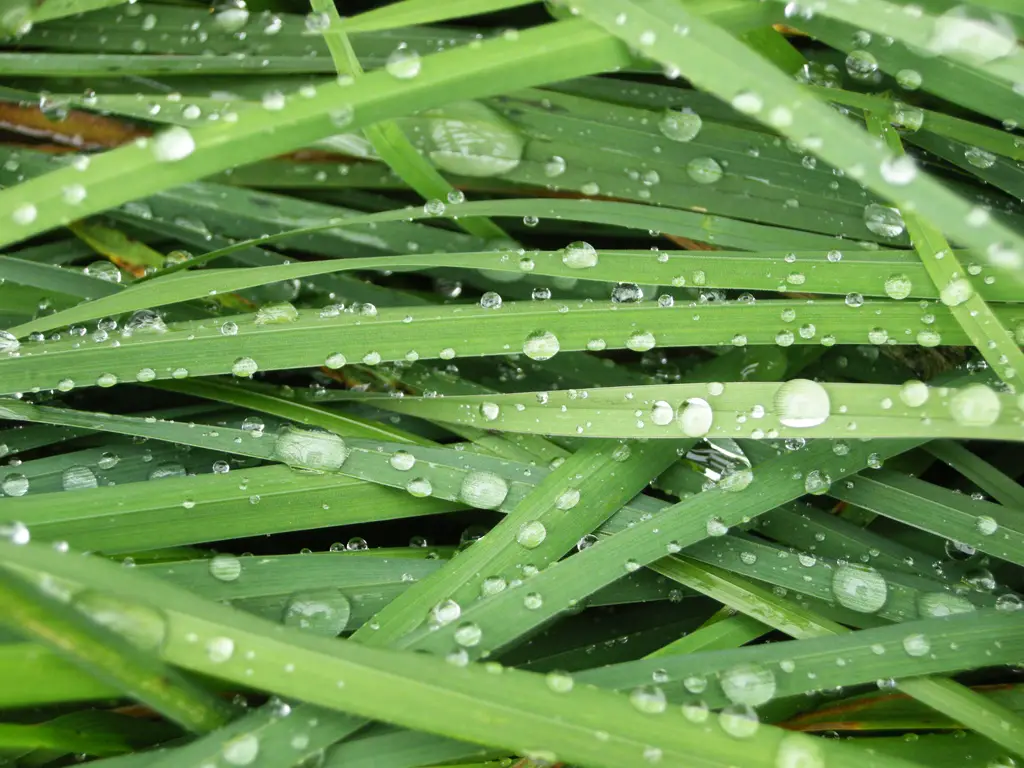 sperlova iva umgebung07