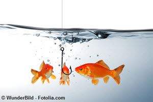 Fische,Haken schnappen,unseriös,anbieter,portale,optimieren,affiliates,suchergebnisse,leistungsfähigkeit