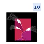 city management graz 16