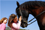 Pferde für Kinder,Pferde und Pony,Pferde Urlaub,Pferdeurlaub,Pony