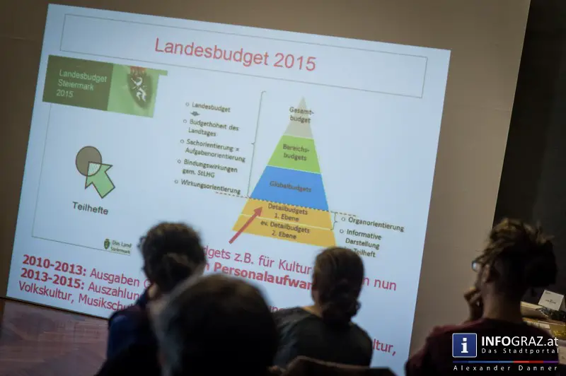 IG Kultur Steiermark - Budget-Entwicklung und Förderpolitik für den Bereich Kultur 2010 - 2015 - 006