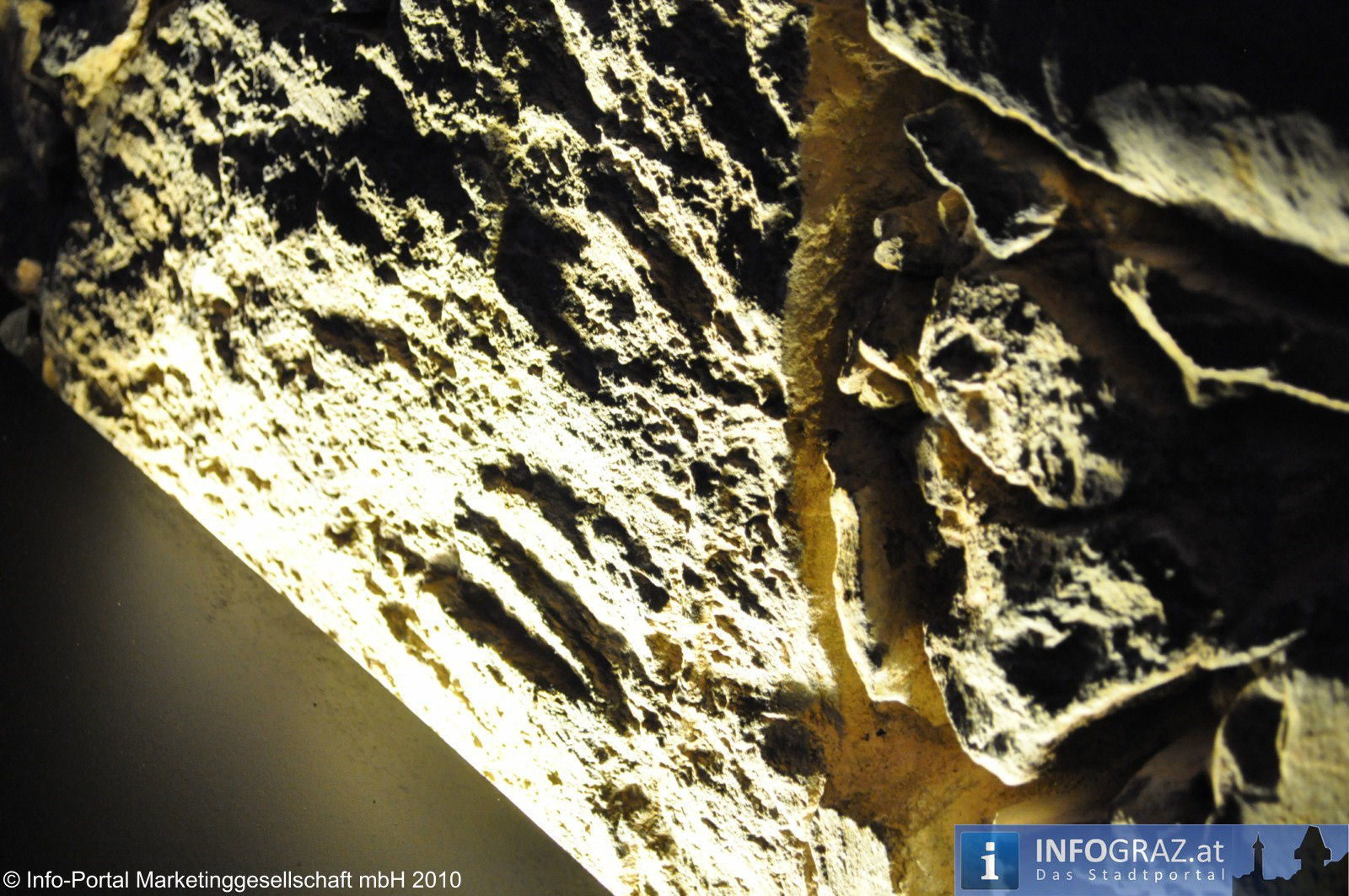 KottulinskyGraz2010021966