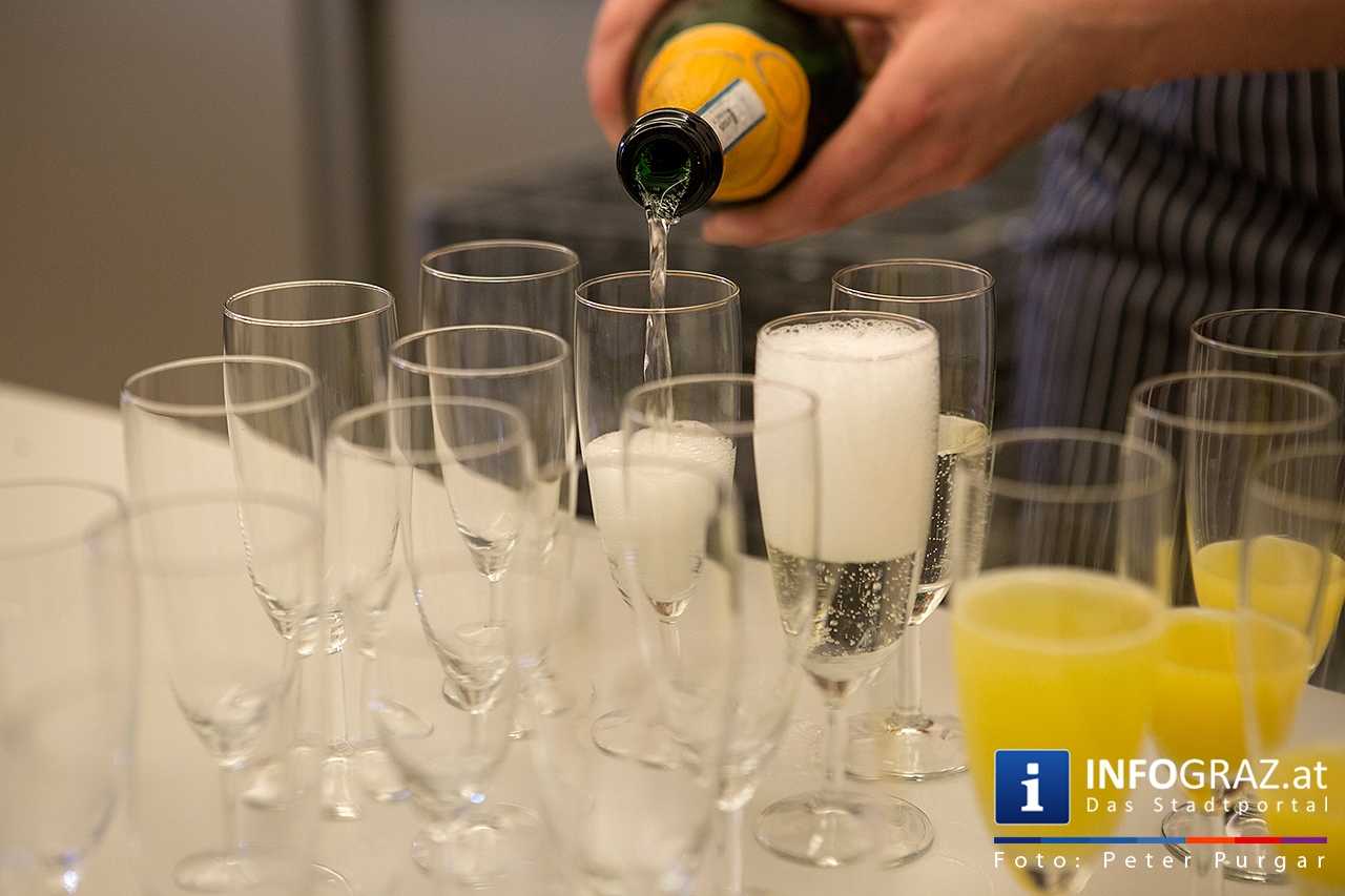 Ausstellungseröffnung von Julia Bauernfeind im Landhaus Graz - 015