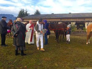 Weihwasser,Salz,Brot,gesegnet,Quechua,Pferde