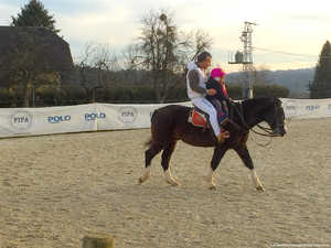 Pferde-Oldie Mucho,Kinder,Jugendliche,Freude,Polofeld,Polo-Schwünge,Sport,Sportvereine,Reiten,Pony 