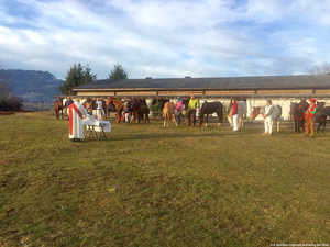 Stephani-Pferdesegnung,Quechua,Pferde