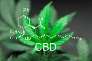 CBD Blüten - wann hilft das legale Cannabis? In der Alternativtherapie werden die Produkte oft zur Behandlung angeboten.