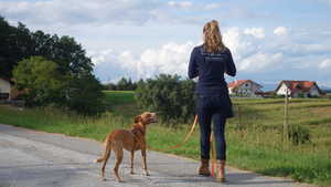 Welpenschule Graz,Hundetrainer Ausbildung,Hundetraining in der Steiermark,Bianca Willen,Hundeschule Willenskraft,Respekt,Einfühlungsvermögen