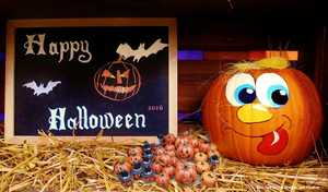 Halloween,Party,gruselig,Feier,mystisch,Dekoration,Herbst,31. Oktober