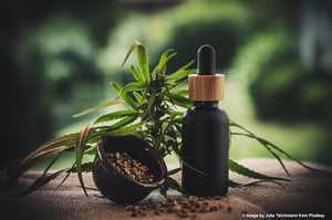 Hanfsamen – kleine Nährstoffwunder mit großem gesundheitlichem Potenzial