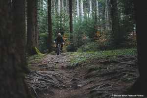 Mountainbiken rund um Graz: Die schönsten Trails und was es dabei zu beachten gibt