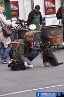 Innenstadt<br>Flashmob