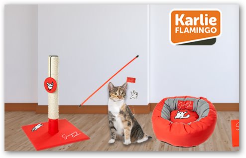 meintierdiscount.de Katze